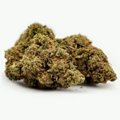 Mango Haze hemp flower