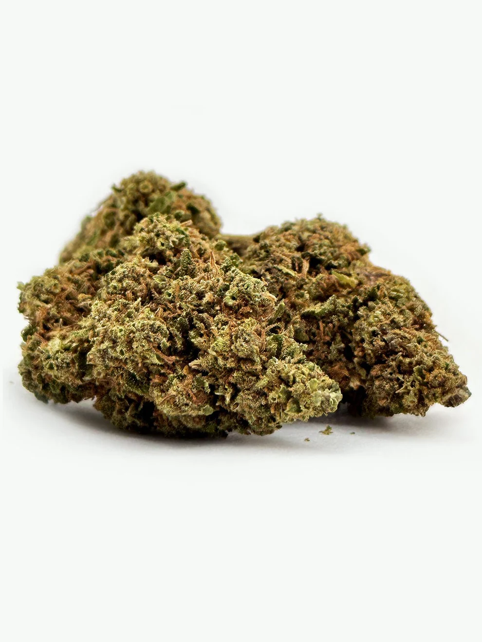 Mango Haze hemp flower