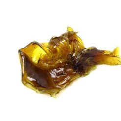 Purple OG Shatter