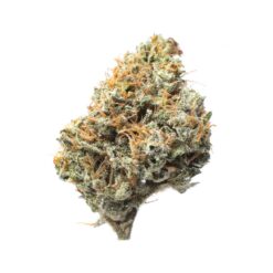 Northern Lights Strain