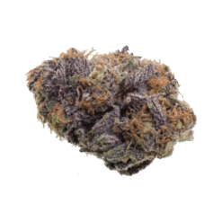 Purple Haze Bud