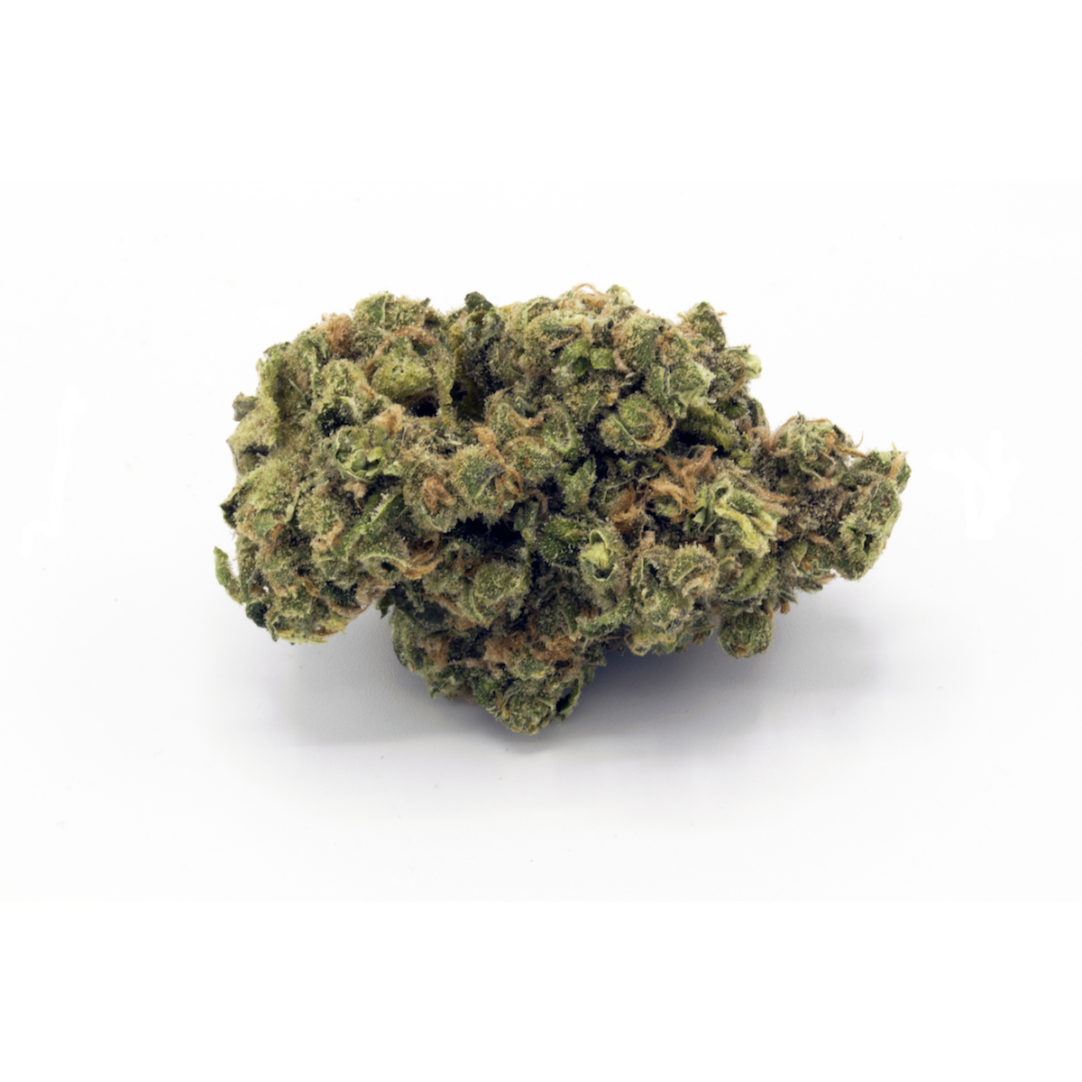 Jack Herer Jack Herer